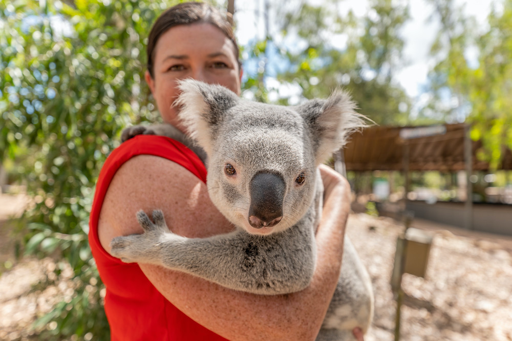 Discover Billabong Sanctuary Townsville